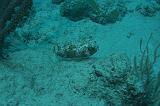 2008-05-19 17-42-19 H